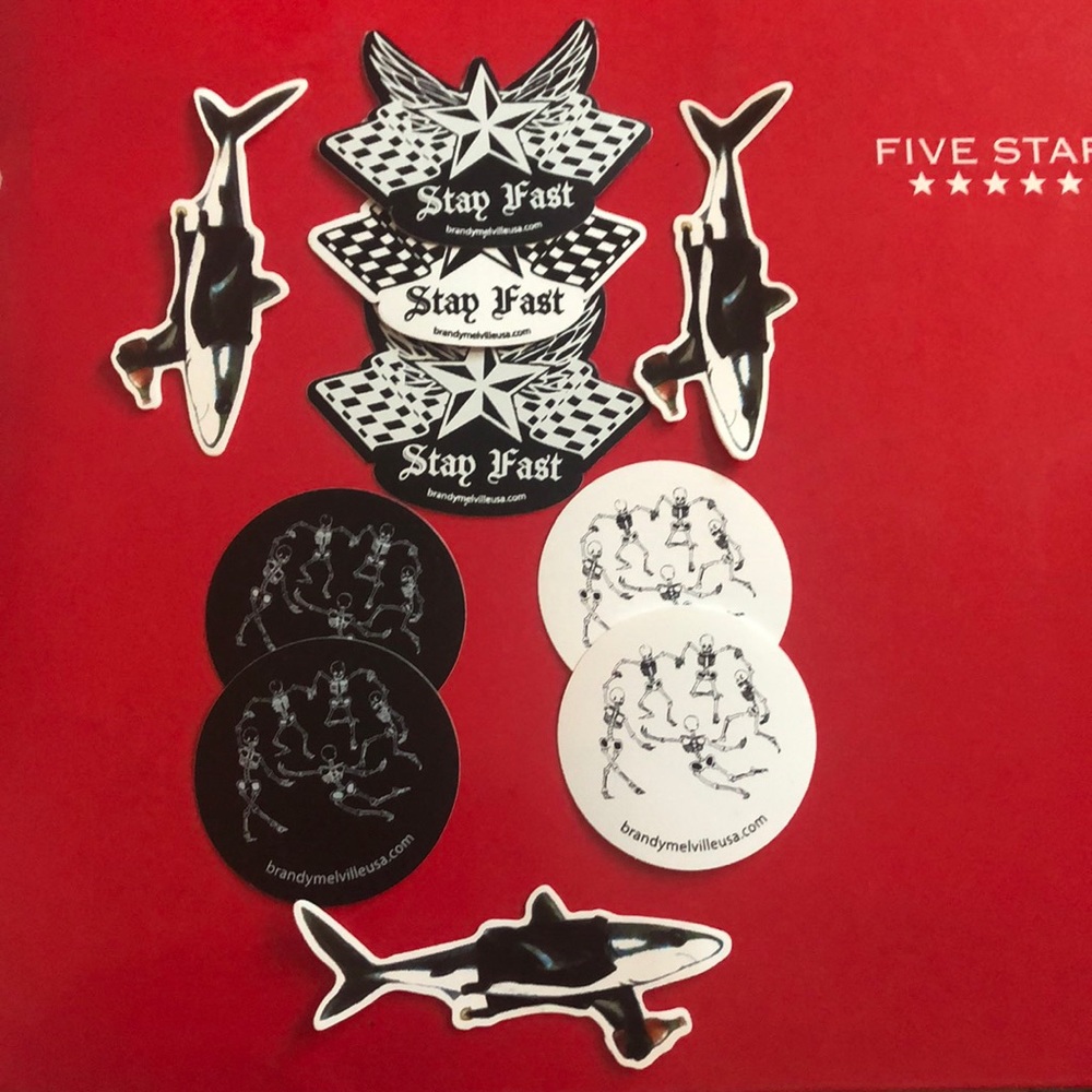 Brandy Melville Rare Sticker Bundle